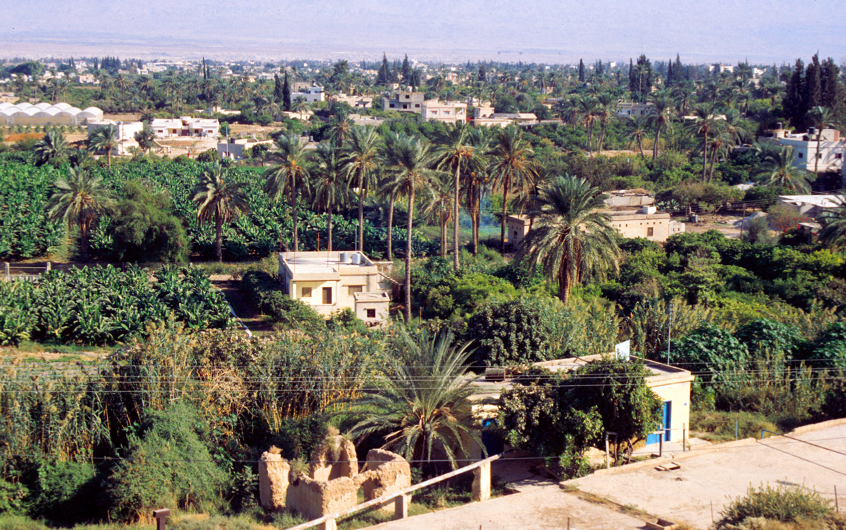 Die Palmenstadt Jericho gehörte neben Gaza zum ersten Gebiet unter palästinensischer Autonomie.