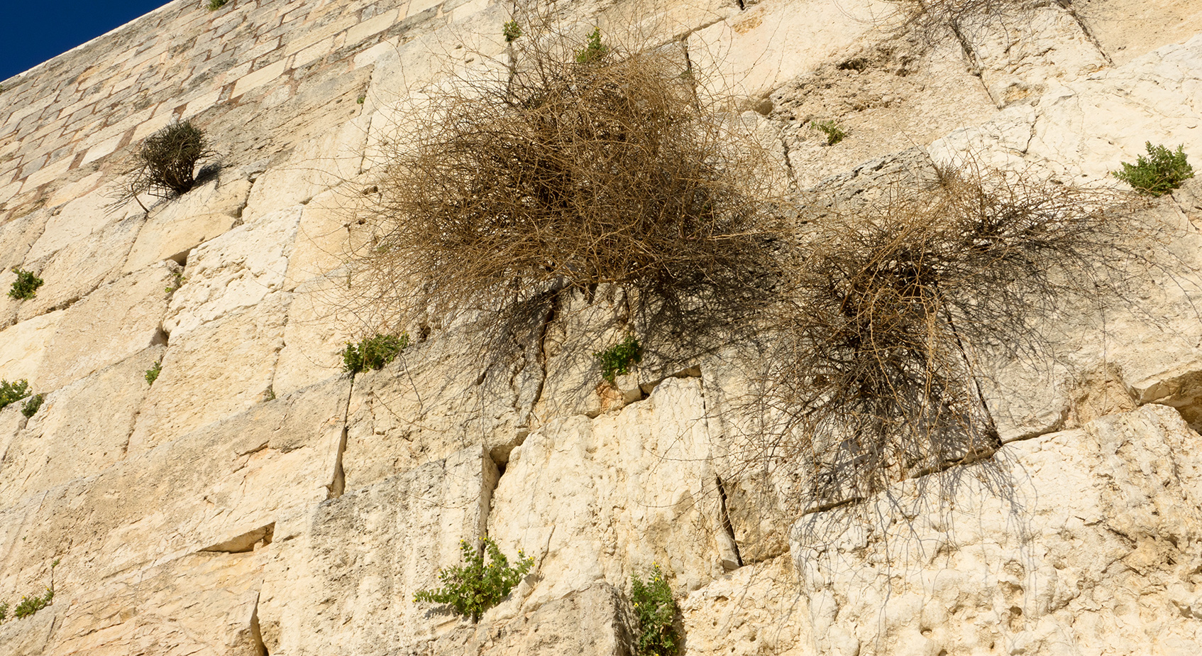 Für Israel – Land und Volk – gelten besondere Verheißungen. Und auch für das Verhalten der Heiden gegenüber Israel.